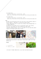 [사업계획서] 아침의 건강을 배달하는 모닝셔틀-7