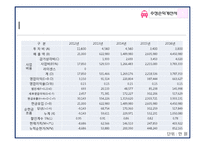 [사업계획서] 여성용 택시 사업계획서-15
