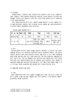 한강 르네상스사업에 대해-11