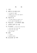 [도시행정] 브라질리아의 도시문제 해결 방안 -재정위기에 대한 대처-2