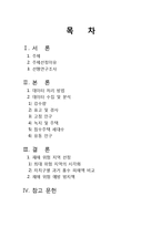 [지형공간정보학] 서울시 집중호우로 인한 침수 피해 위험 지역 선정-2