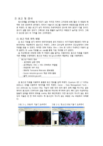 [지형공간정보학] 서울시 집중호우로 인한 침수 피해 위험 지역 선정-11