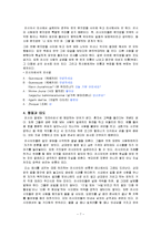 러시아의 문화 레포트-8