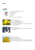 [여가학] 경남 창녕군 관광-8