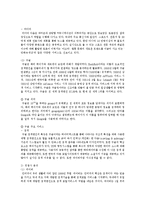[영상산업] 네이버 포털 사이트 성공기업에 대한 SCP분석-6