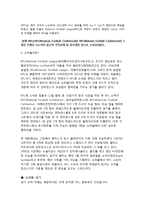 미국사회 속 슈퍼볼(Super bowl) 영향력 및 효과 분석-3