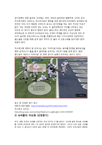 미국사회 속 슈퍼볼(Super bowl) 영향력 및 효과 분석-5