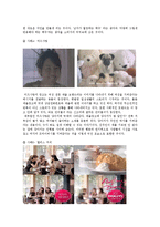 2011 광고 트렌드 분석 -스토리텔링 광고-7