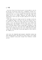 [미디어컨텐츠기획론] 성공한 컨텐츠의 사례 -반사적 광영-3