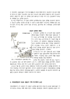 [기후와 역사] 여몽 연합군의 일본 정벌-3