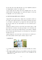 `사랑을 믿어요`를 통해 본 젠더의 구현-드라마 속 여성의 이미지를 중심으로-16