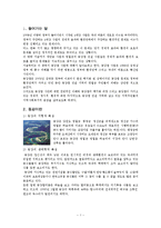 [지역사회복지] 동강 살리기 운동 개요 & 지역사회복지적 관점-3