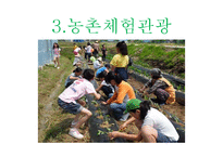 녹색관광 레포트-19