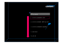 미디어의 인권침해 문제와 그 대응방안 -사이버 인권침해를 중심으로-2