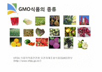 GMO와 식생활 레포트-10
