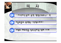 지식재산권에 관한 협정(TRIPs)-2