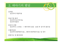 [발달심리] 제4장 신체 및 지각발달-12