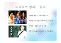 한류와 혐한류 레포트-14