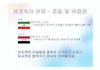 한류와 혐한류 레포트-17