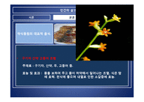 [외식과 문화] 음식궁합-18