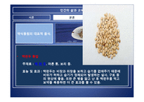 [외식과 문화] 음식궁합-20