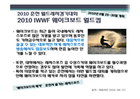여가 산업 - 스포츠 레저 산업을 중심으로-19