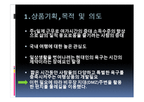 DMZ 둘레길 여가 상품 계획안-3
