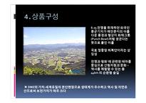 DMZ 둘레길 여가 상품 계획안-6