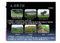 DMZ 둘레길 여가 상품 계획안-8
