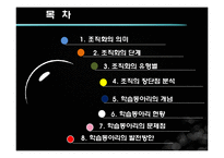 [평생교육경영론] 평생교육기관 조직화, 학습동아리의 문제점과 발전방안-2