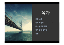 [보험과 리스크] 한국도로 공사의 리스크 관리-2