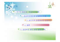 [여성복지론] 빈곤의 여성화, 그리고 공공부조 제도-2