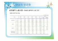 [여성복지론] 빈곤의 여성화, 그리고 공공부조 제도-13