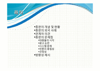 종합편성채널 레포트-2