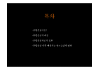 종합편성채널이 광고 산업에 미치는 영향-4