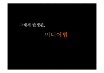 종합편성채널이 광고 산업에 미치는 영향-7