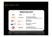 종합편성채널이 광고 산업에 미치는 영향-9