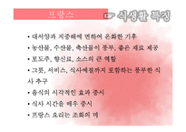 유럽,미주지역의 식문화-6