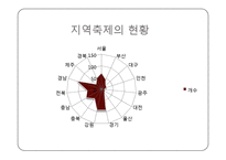 지역축제와 지방재정-5