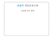 지역축제와 지방재정-11