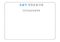 지역축제와 지방재정-13