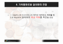 미국의 기축통화-13