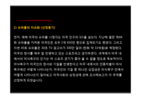 미국사회 속 슈퍼볼(Super bowl) 영향력 및 효과 분석-10