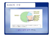 [광고조사] ABC제도의 문제점-14