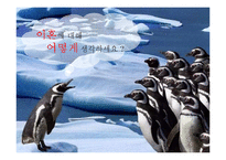 TV프로그램 `미워도 다시 한 번` 부부 간의 갈등 멘토링-7