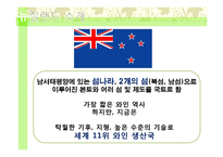 뉴질랜드의 와인-3