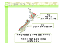 뉴질랜드의 와인-4