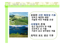 뉴질랜드의 와인-5