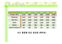 뉴질랜드의 와인-8