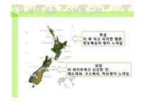 뉴질랜드의 와인-10